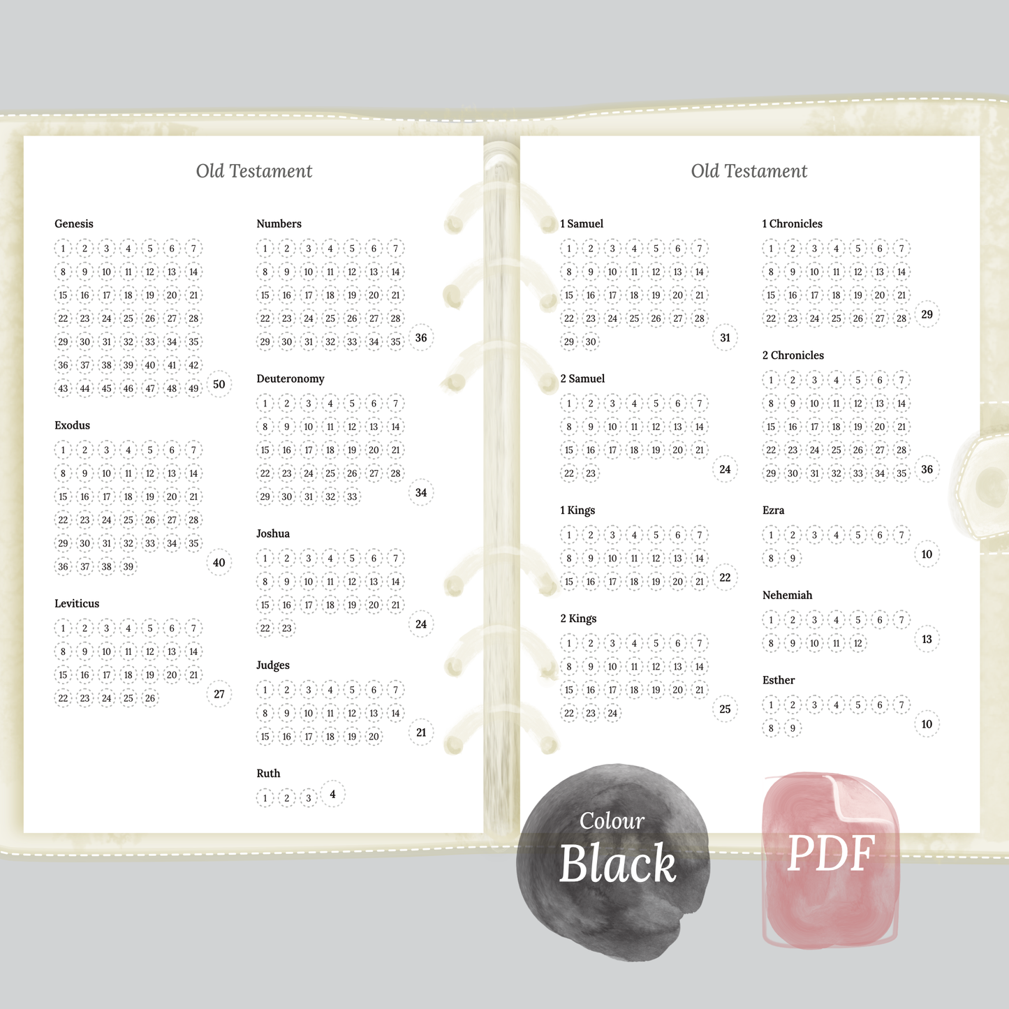 Bible reading in a year - A5