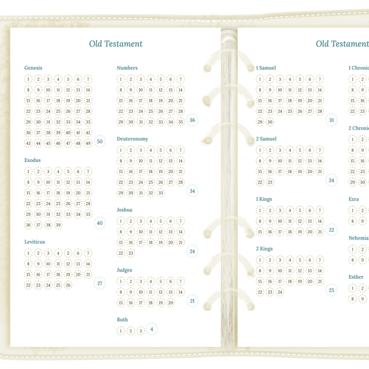 Bible reading in a year - A5