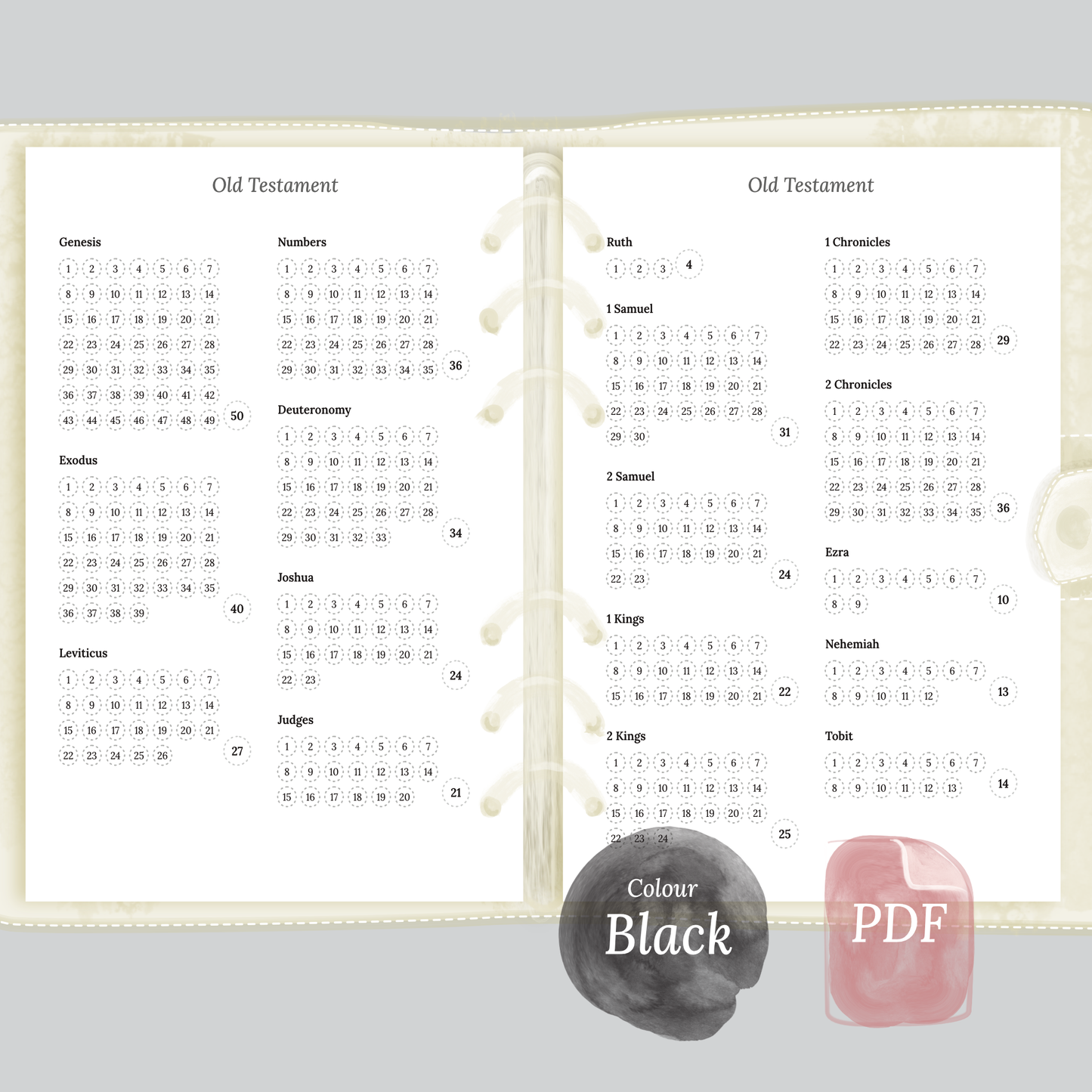 Catholic bible reading in a year - A5