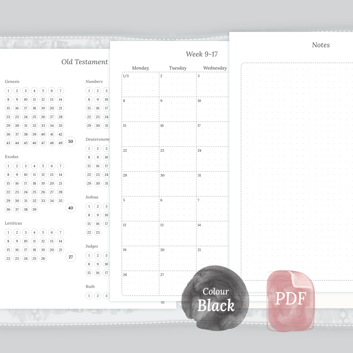 Examples featuring the printable Bible study kit inserts modules Bible journey map, 9W2P 9 weeks on 2 pages and Notes in the colour Black & White.