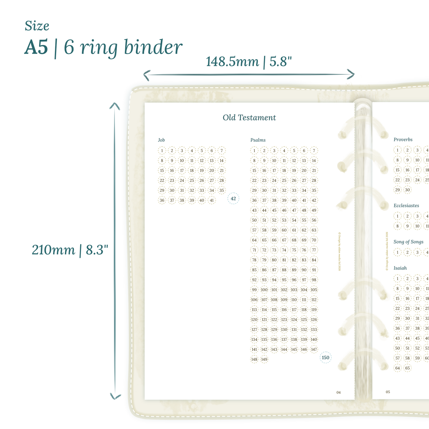 Calendar planner insert with dimensions labeled on a white background to show the size supported which is A5 for 6 ring binder.