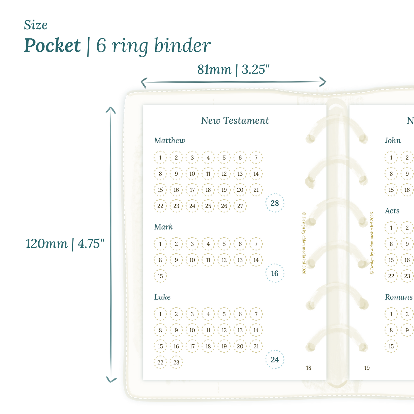 Calendar PDF printable planner insert with dimensions labeled on a white background to show the size supported which is Pocket for 6 ring binder.
