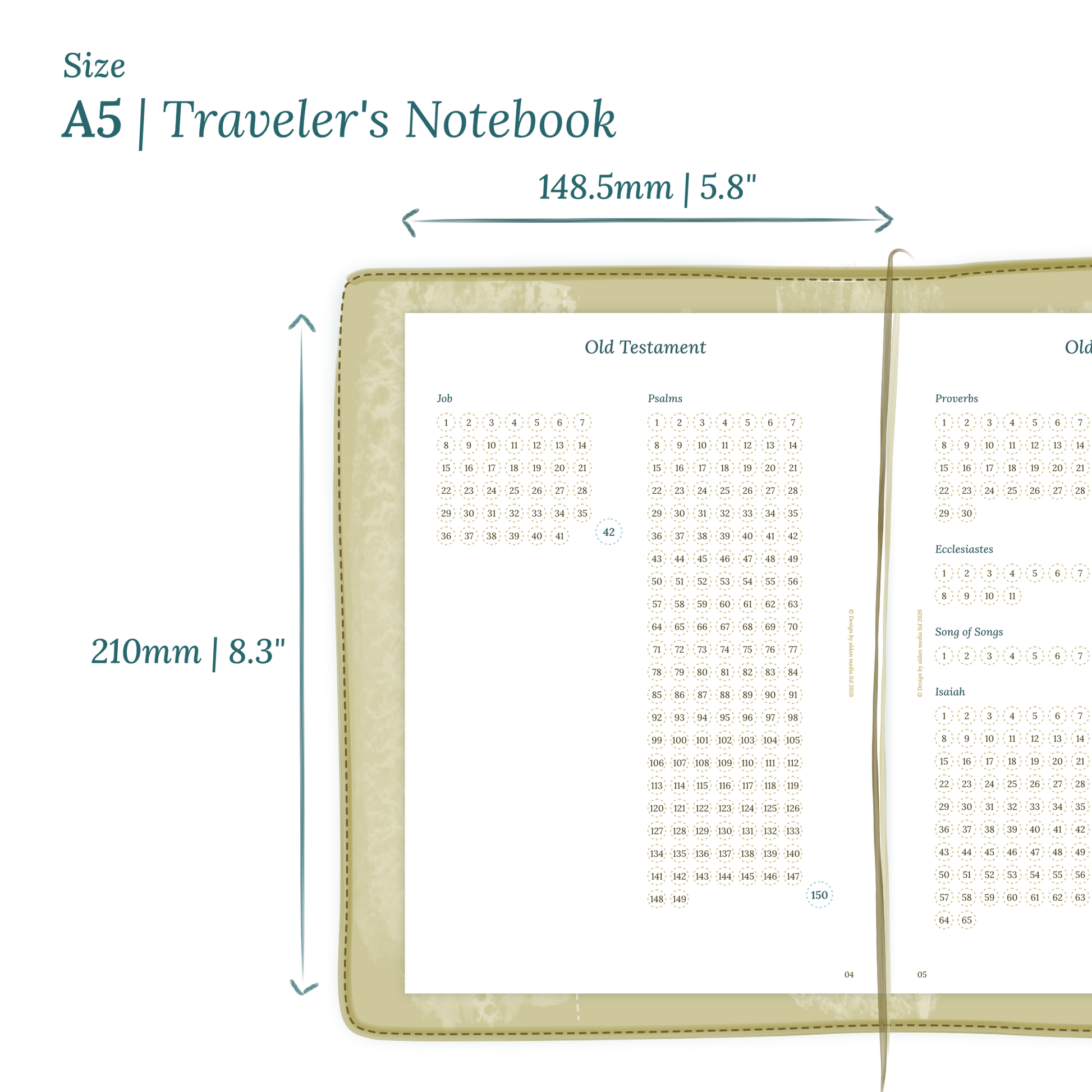 Calendar planner insert with dimensions labeled on a white background to show the size supported which is A5 for Traveler's Notebook.