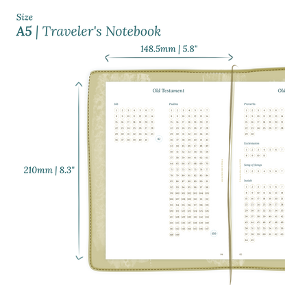 Calendar planner insert with dimensions labeled on a white background to show the size supported which is A5 for Traveler's Notebook.