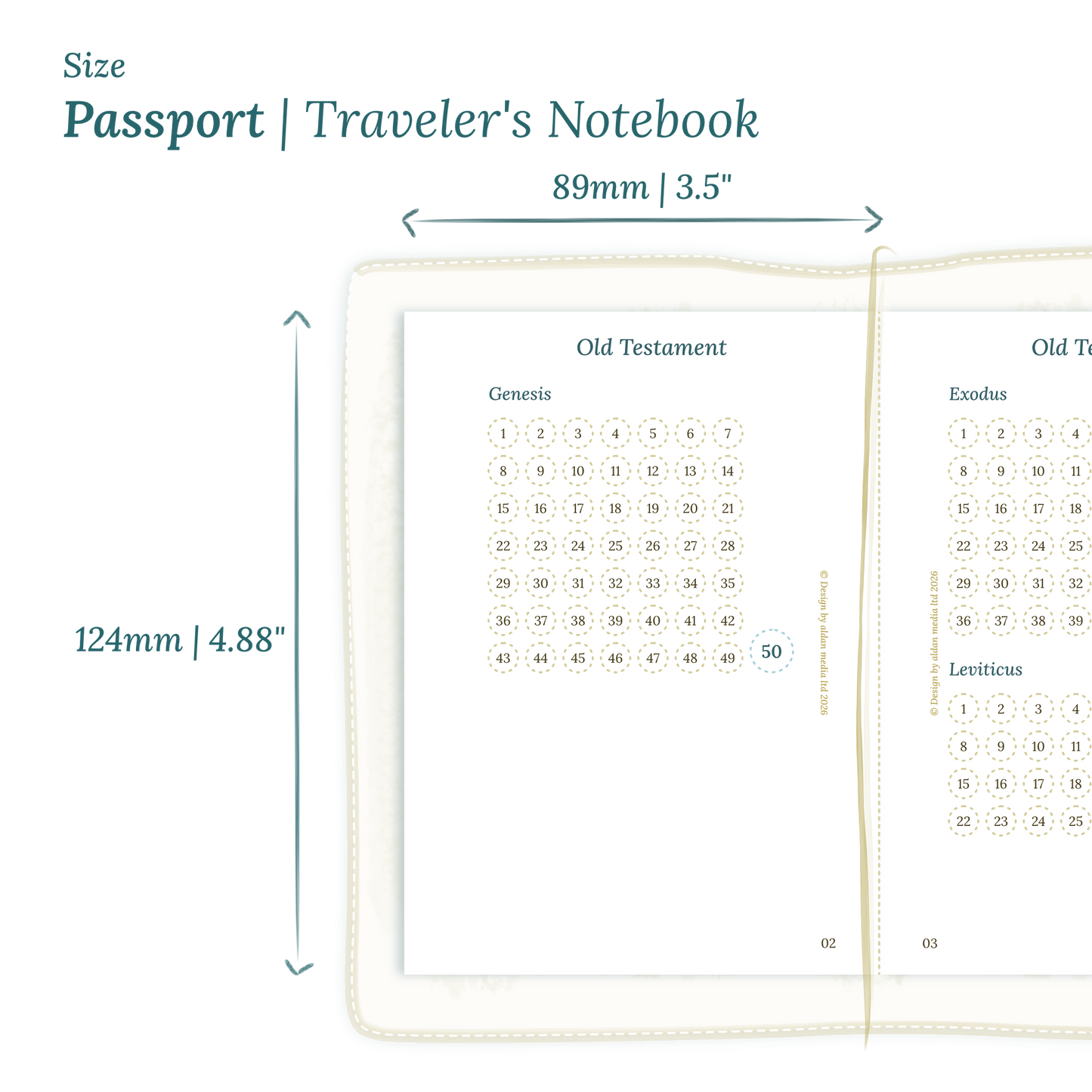 Calendar PDF printable planner insert with dimensions labeled on a white background to show the size supported which is Passport for Traveler's Notebook.