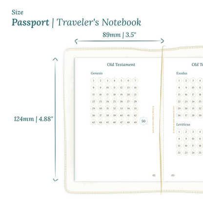Calendar PDF printable planner insert with dimensions labeled on a white background to show the size supported which is Passport for Traveler's Notebook.