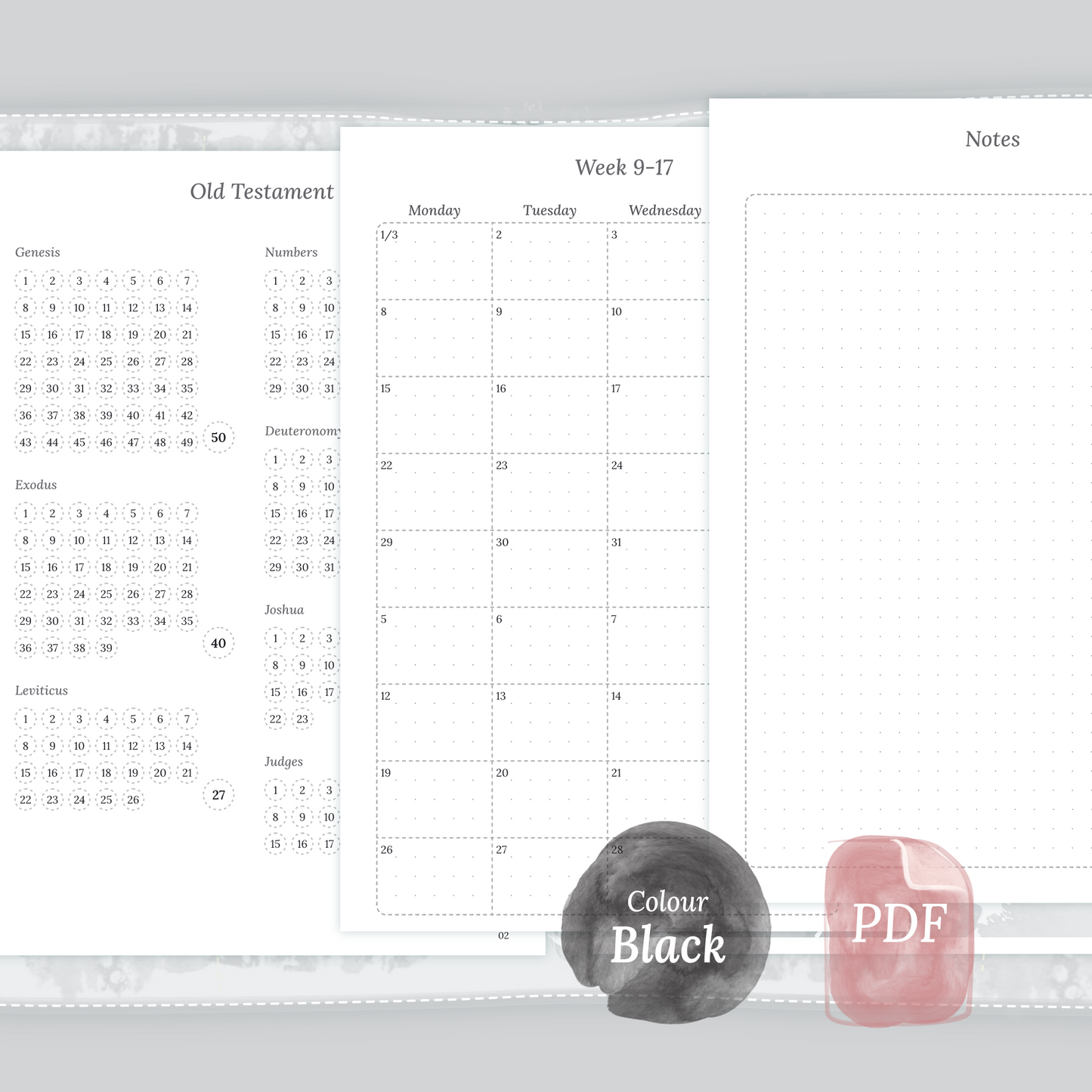 Examples featuring the printable Catholic Bible study kit inserts modules Catholic Bible journey map, 9W2P 9 weeks on 2 pages and Notes in the colour Black & White.