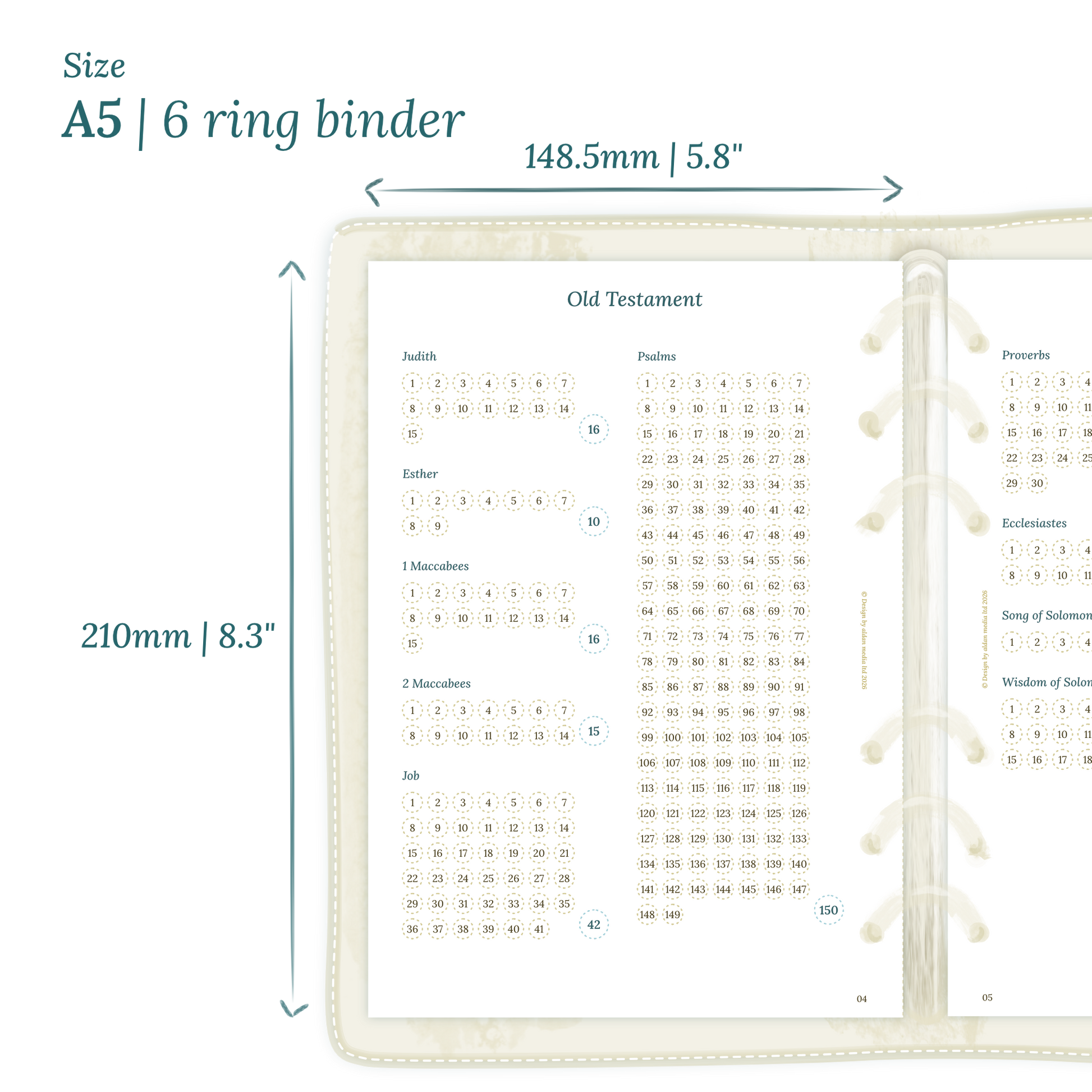 Calendar planner insert with dimensions labeled on a white background to show the size supported which is A5 for 6 ring binder.