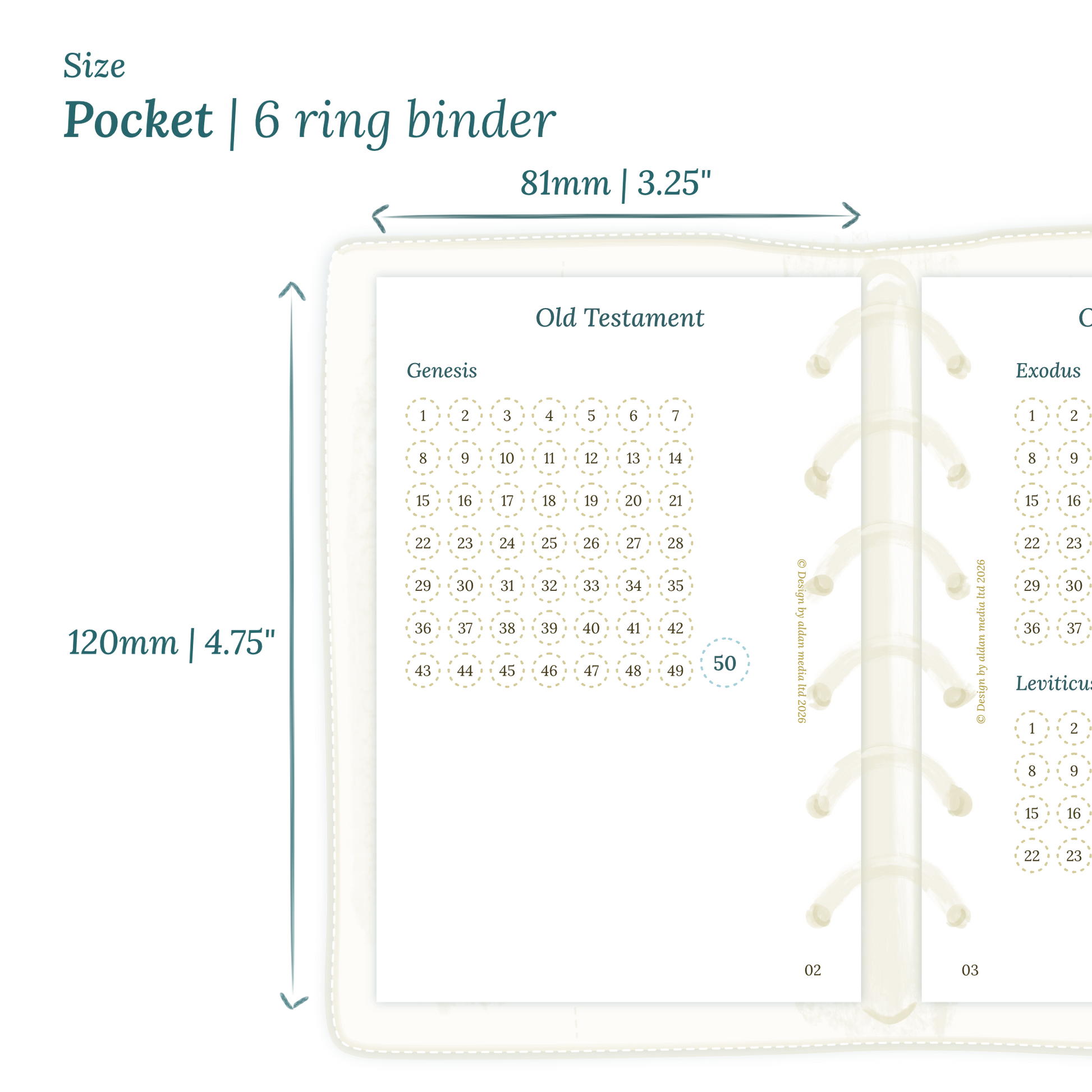 Printable PDF calendar planner insert with dimensions labeled on a white background to show the size supported which is Pocket size for 6 ring binder.