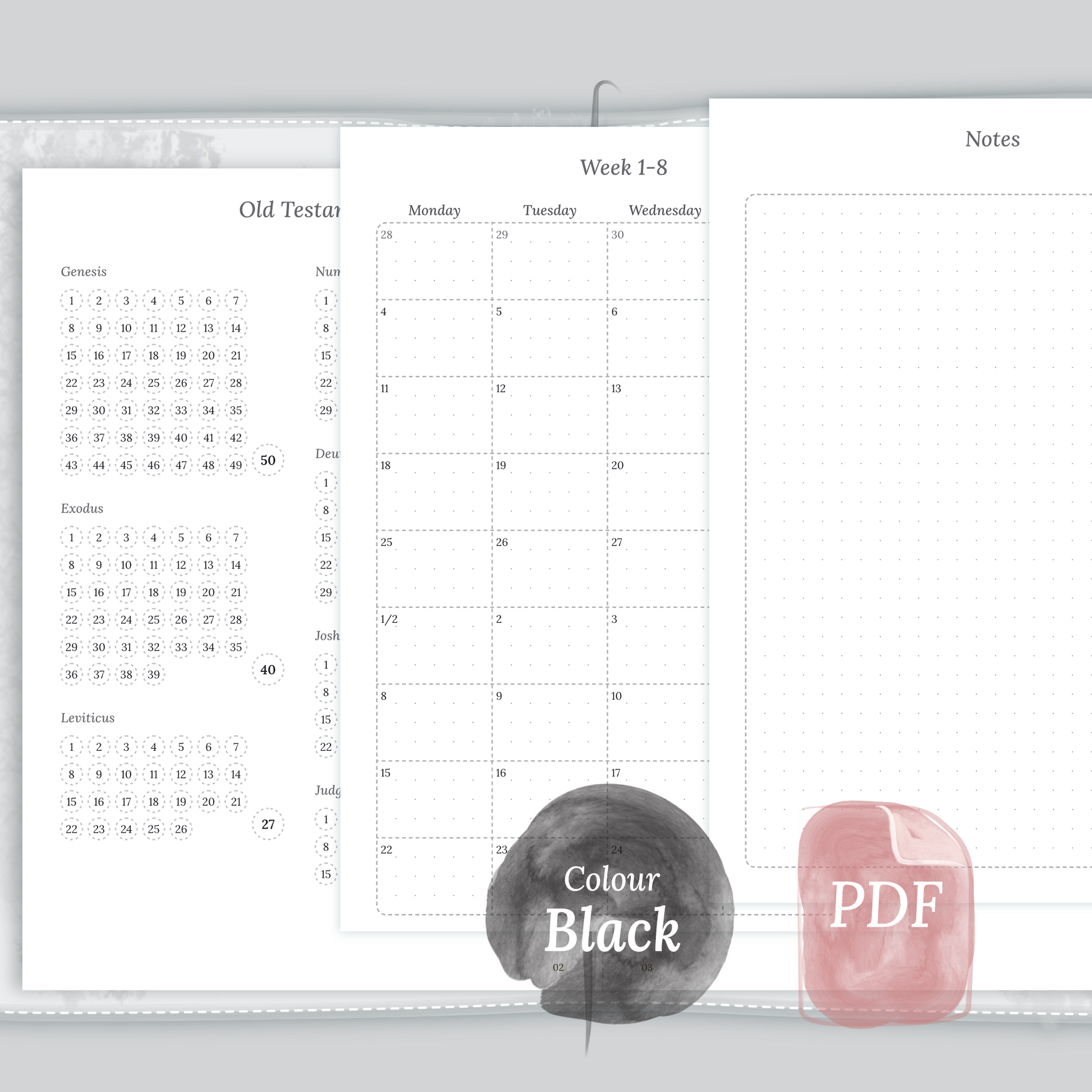Examples featuring the PDF printable Catholic Bible study kit inserts modules Catholic Bible journey map, 9W2P 9 weeks on 2 pages and Notes in the colour Black & White.