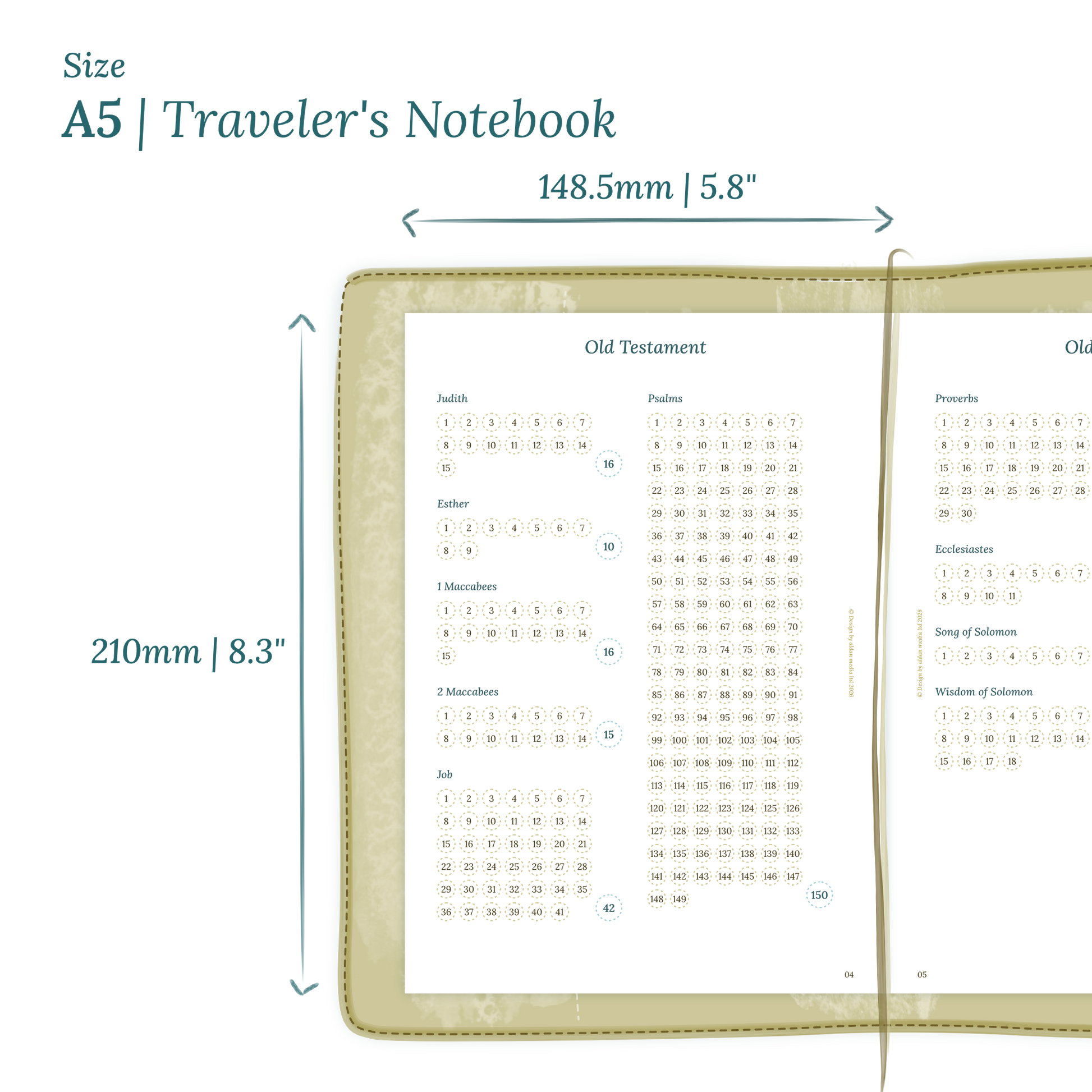 Calendar planner insert with dimensions labeled on a white background to show the size supported which is A5 for Traveler's Notebook.