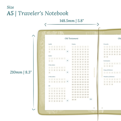 Calendar planner insert with dimensions labeled on a white background to show the size supported which is A5 for Traveler's Notebook.