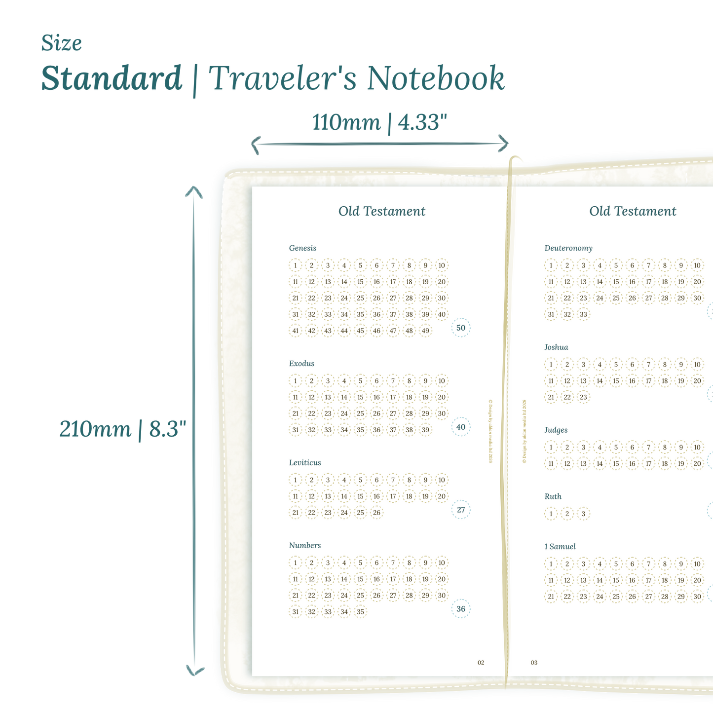 Printable PDF calendar planner insert with dimensions labeled on a white background to show the size supported which is Standard size for Traveler's Notebook.