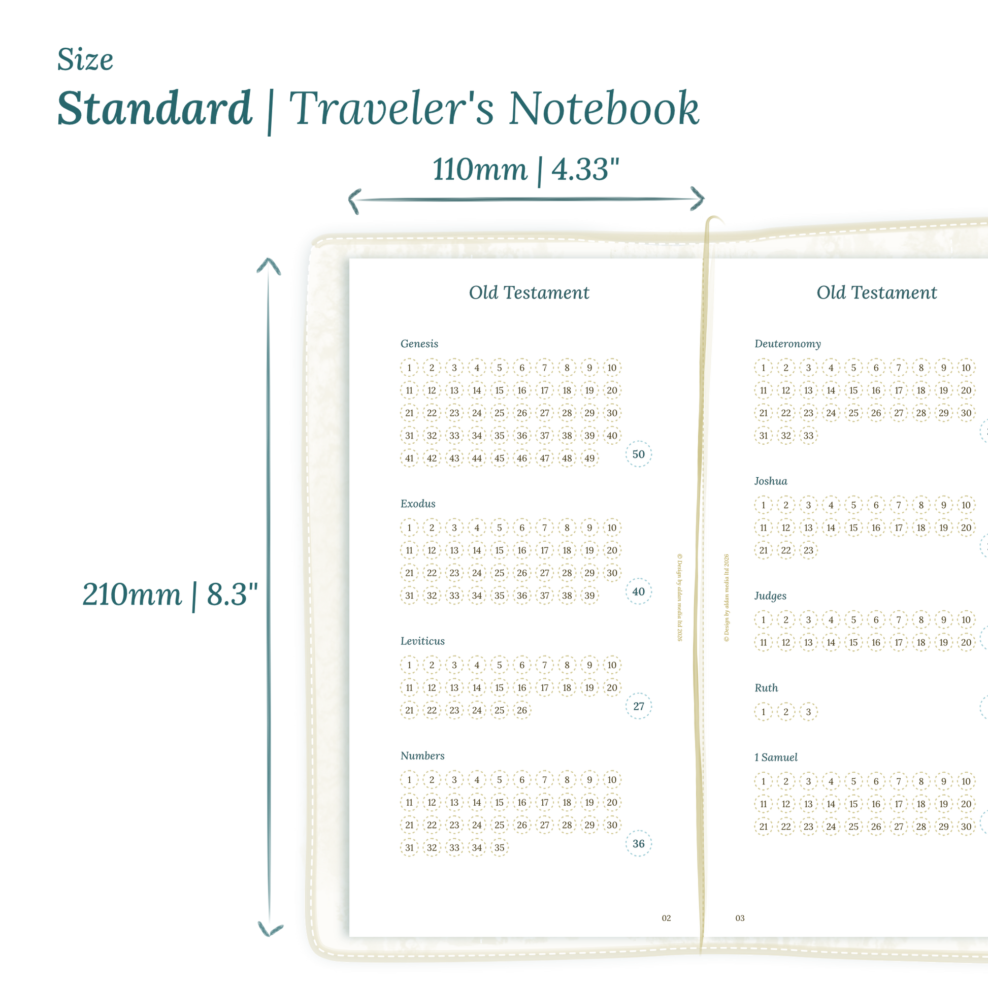 Printable PDF calendar planner insert with dimensions labeled on a white background to show the size supported which is Standard size for Traveler's Notebook.