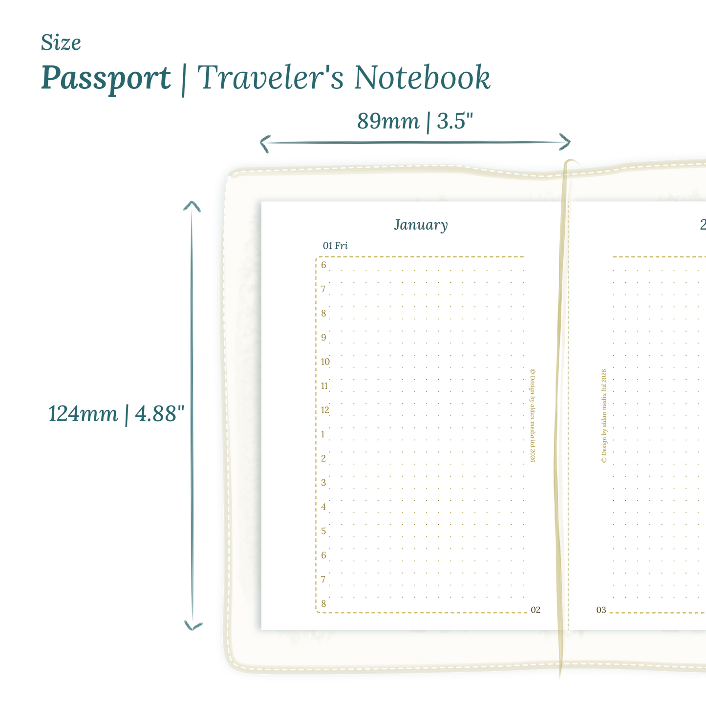 Printable PDF calendar planner insert with dimensions labeled on a white background to show the size supported which is Passport size for Traveler's Notebook.
