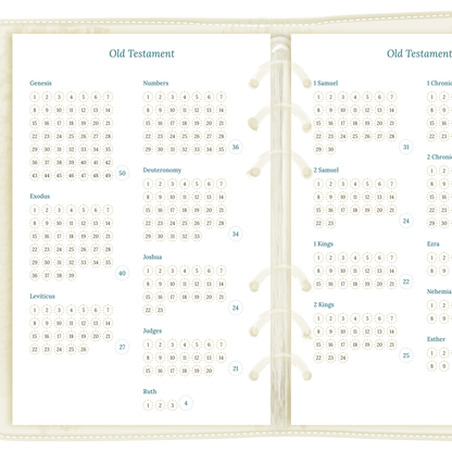 Bible reading in a year - A5