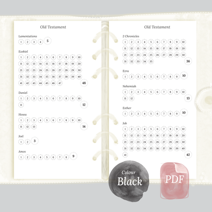 Bible reading in a year - Personal