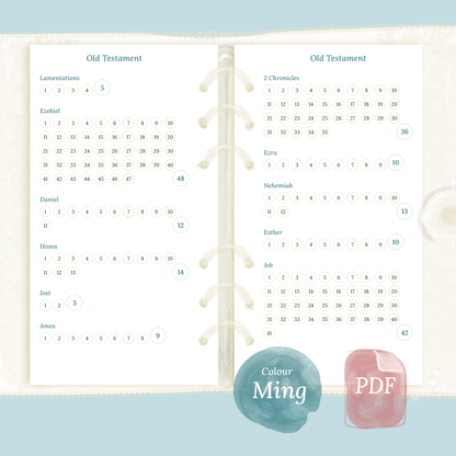 Bible reading in a year - Personal