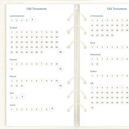 Bible reading in a year - Personal