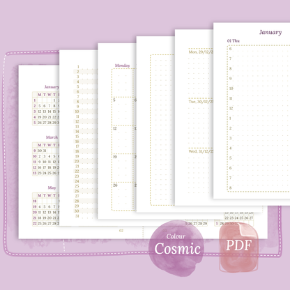 Bundle XL | Year at a glance, future log, monthly, week on 2 pages & daily - TN Passport