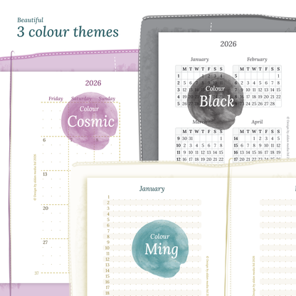 Bundle XL | Year at a glance, future log, monthly, week on 2 pages & daily - TN Passport