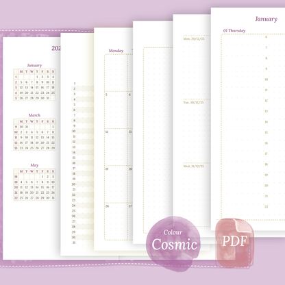 TN Standard | Bundle XL | Year at a glance, future log, month on 2 pages, week on 2 pages & daily