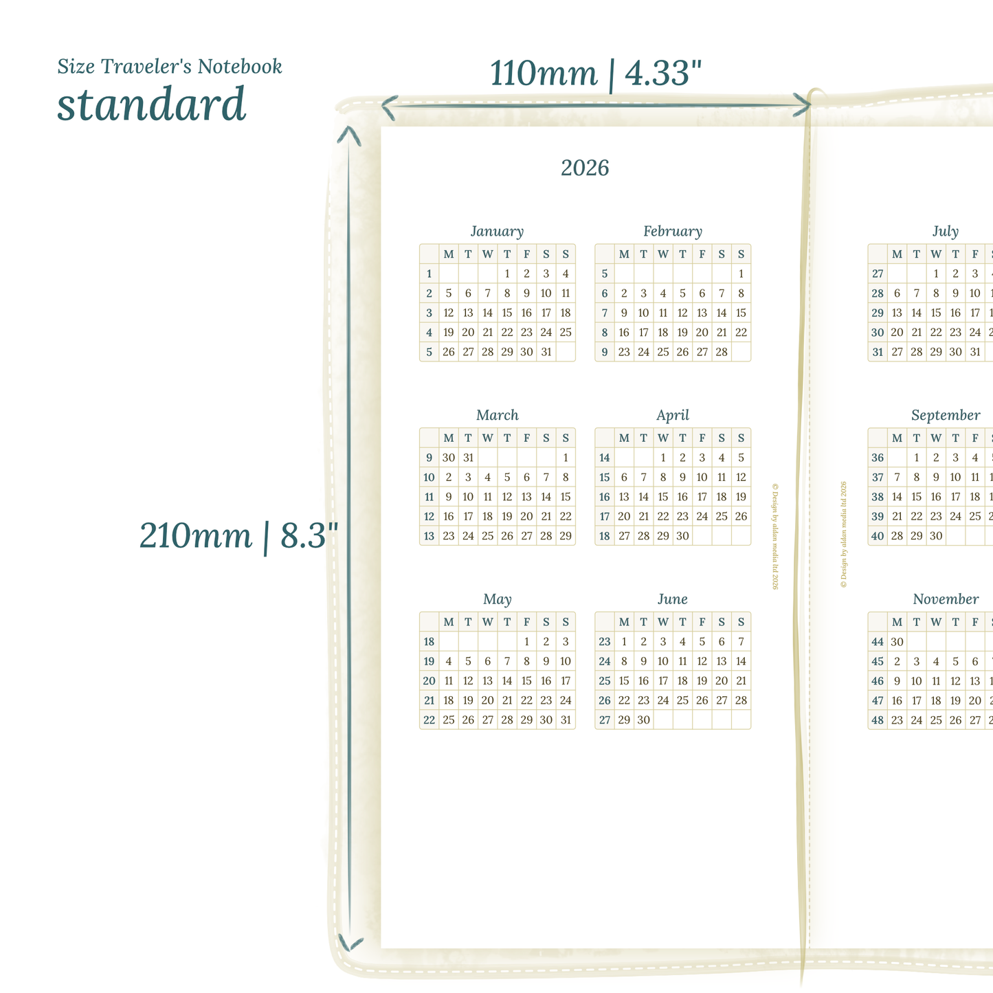TN Standard | Bundle | Year at a glance, future log & month on 2 pages