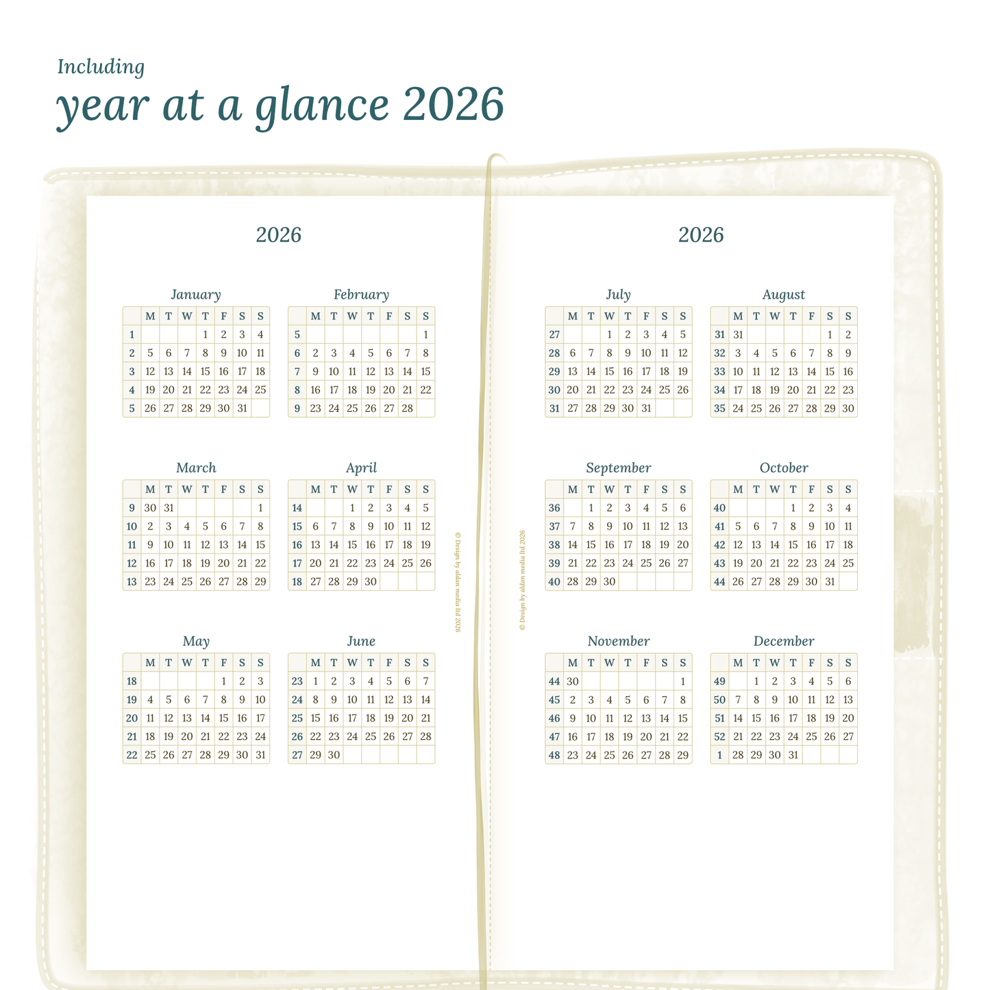 TN Standard | Bundle | Year at a glance, future log & month on 2 pages