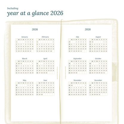TN Standard | Bundle | Year at a glance, future log & month on 2 pages