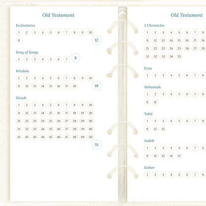Catholic bible reading in a year - Personal