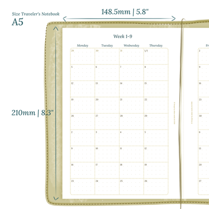 TN A5 | Catholic Bible study kit