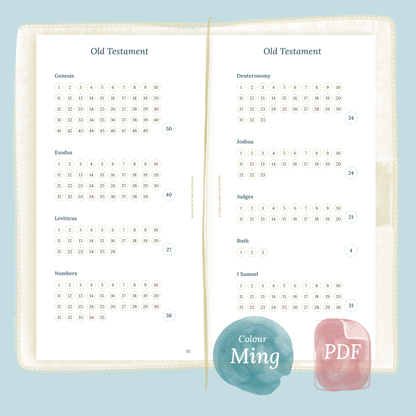 TN Standard | Catholic Bible study kit