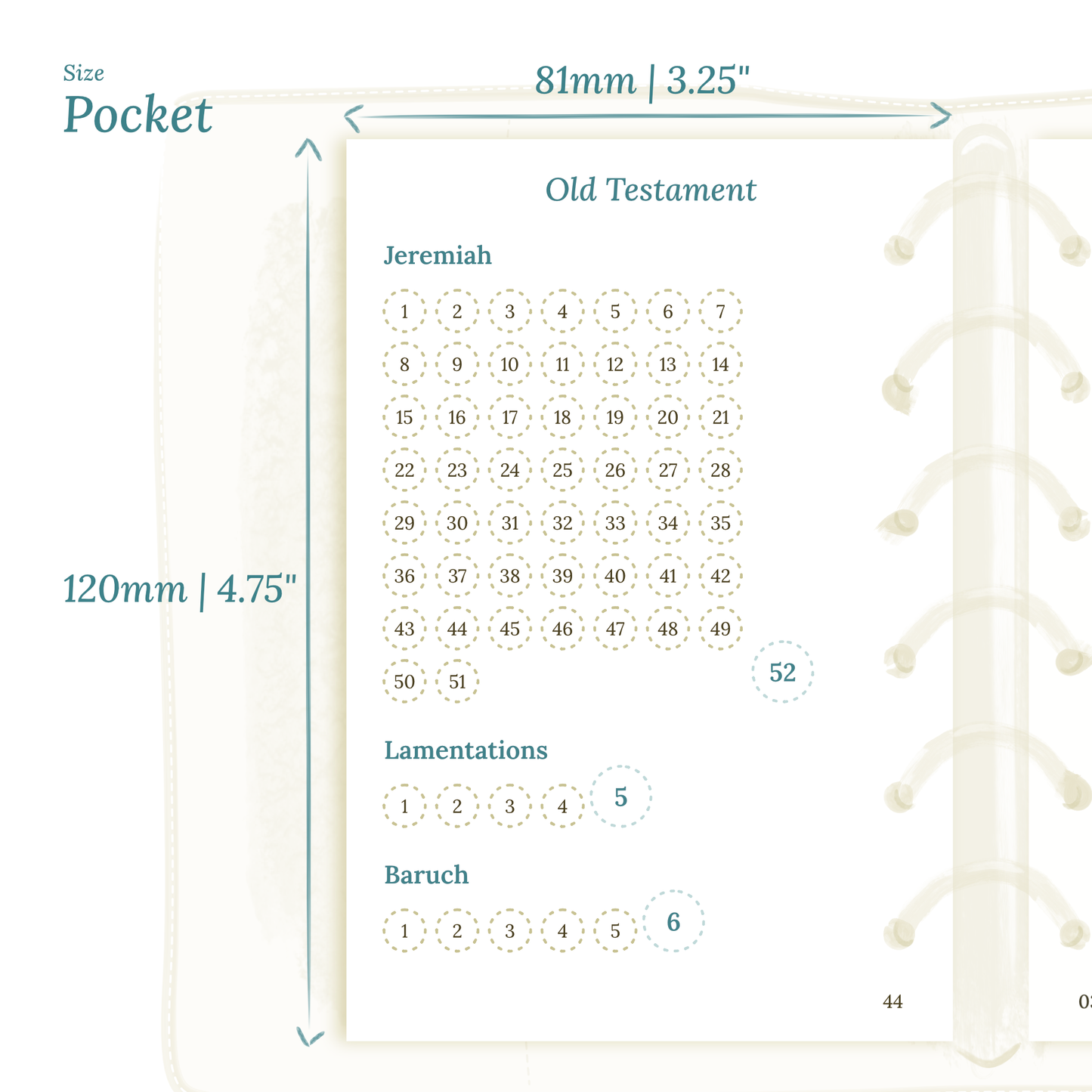 Catholic bible reading in a year - Pocket