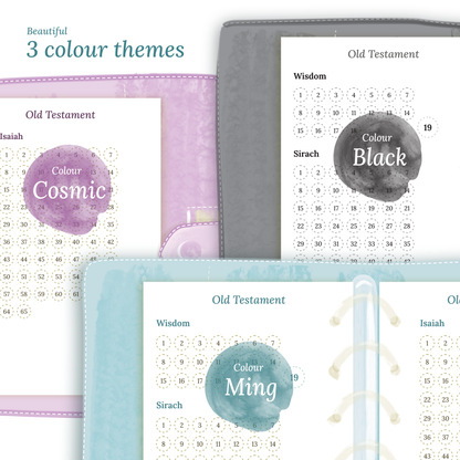 Catholic bible reading in a year - Pocket